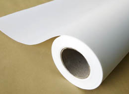 Cotton Canvas